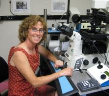 ASCBiology's tweet photo. Watch @ASCBiology member Clare Waterman featured on CNN Inspirations: Unseen Earth on @CNN International. The #CNNInspirations program can be seen Dec 26 at 1600 GMT. Watch Clare’s introduction https://t.co/1GY3fhkyTa https://t.co/16issCegK6