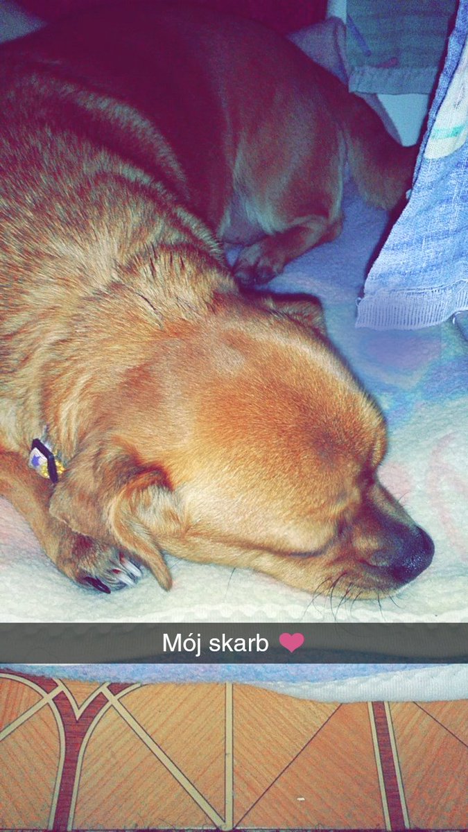 ;;  Claudine's doggo