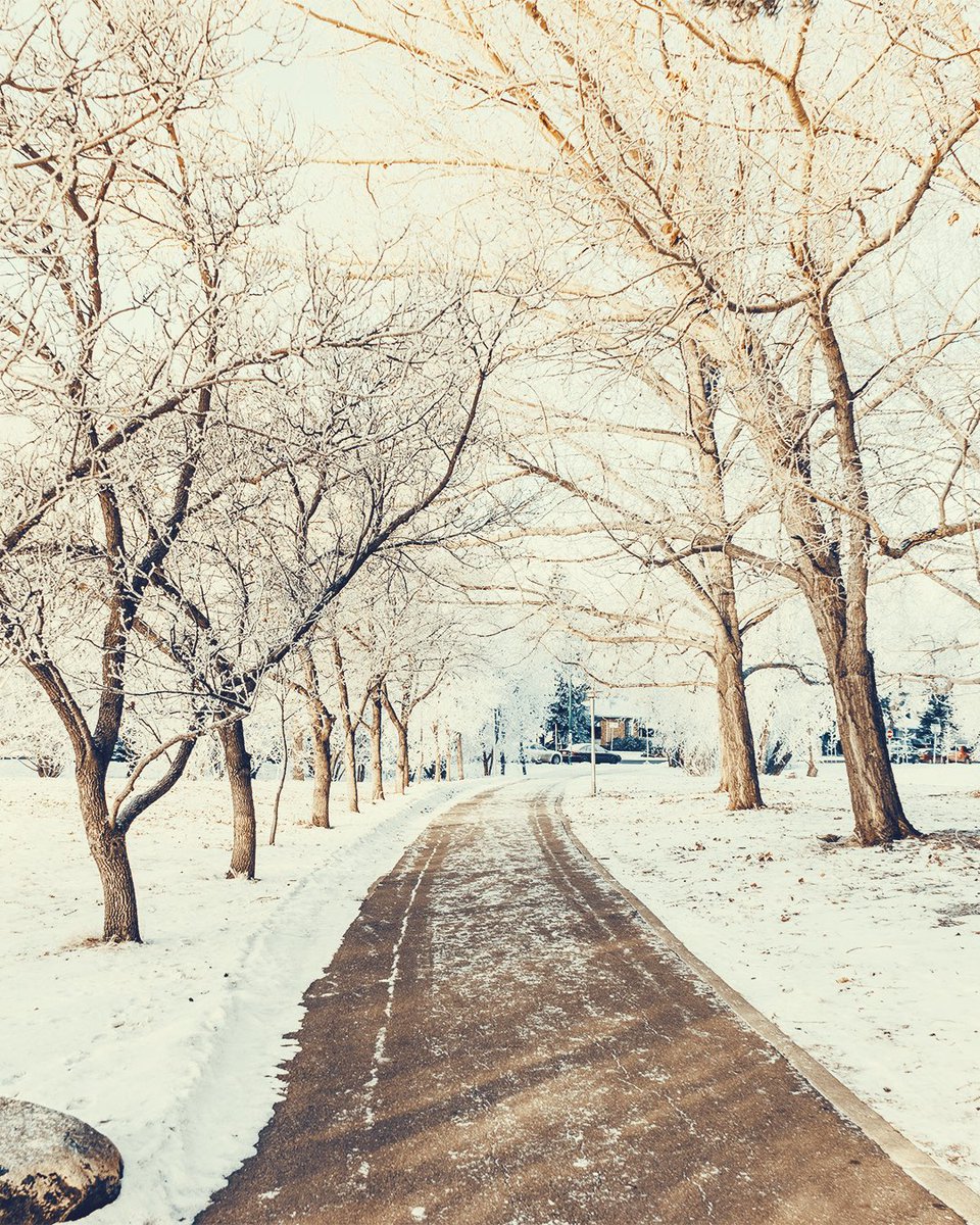 rillyvisuals's tweet photo. @LivingYXE @Saskatchewan @VisitSaskatoon @CBCSaskatoon @GlobalSaskatoon @archillect @travel Welcome to Winter Wonderland
#ExploreSask #ExploreYXE #Saskatooning #YXE #LivingYXE #Winter #Praries https://t.co/cp13QJbgFH