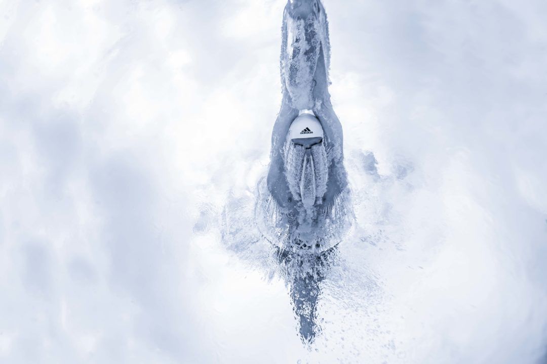 Best underwater #swimming photos of 2017 buff.ly/2CXru15 via <a href="/swimswamnews/">SwimSwam</a>