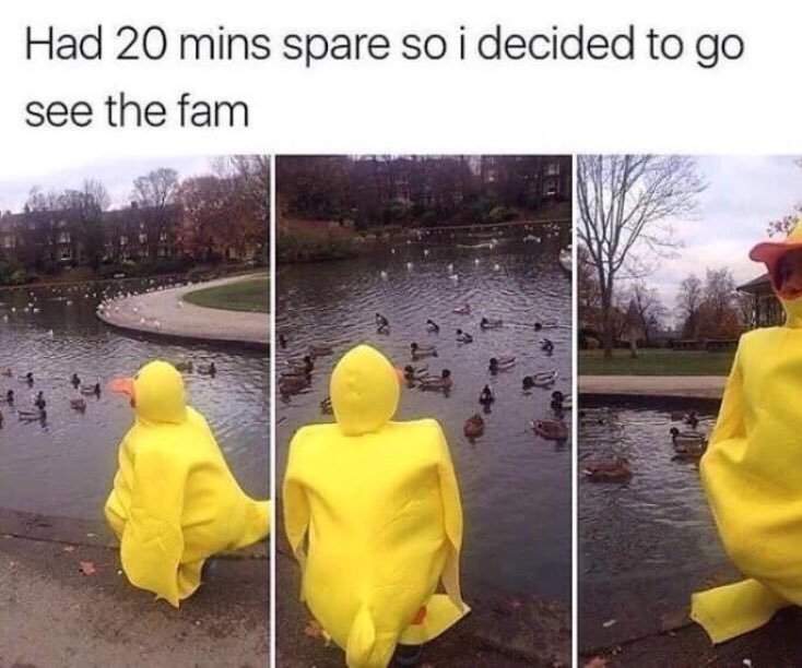 RespectfulMemes's tweet photo. https://t.co/6TllFU0LUl