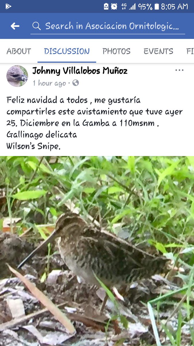 olivier_eq's tweet photo. @maryewalker24 look what a friend spotted in La Gamba... bear Esquinas Rain forest https://t.co/xFI0ZleI4g