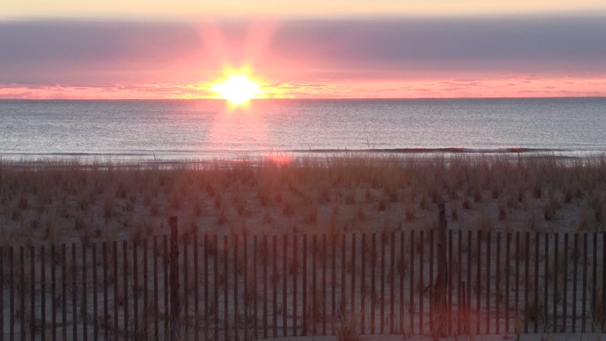 jack bushko tweet media