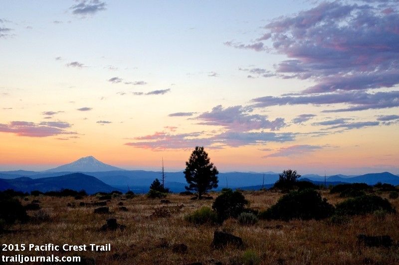 trailjournals's tweet photo. #BurneyMountain from Hat Creek Rim #PCT2015 #thruhike #PCT #thruhiker #PacificCrestTrail #Sunset https://t.co/VQxIwYoD7X https://t.co/N6YzFfocgS