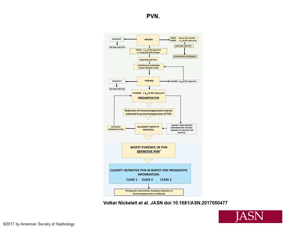 JASN_News's tweet photo. The Banff Working Group Classification of Definitive Polyomavirus Nephropathy: Morphologic Definitions and Clinical Correlations
https://t.co/Flom8U8jDC https://t.co/Ly0FXnY1yB