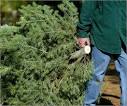 CHRISTMAS TREE PICK-UP INFORMATION
plantation.org/news_informati…