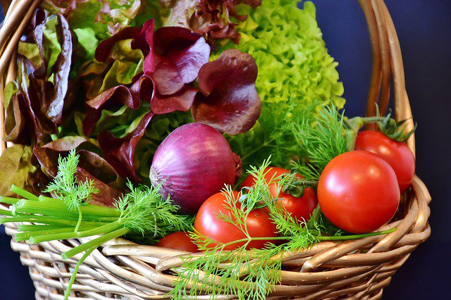 JCCareMgmt's tweet photo. Green Care Farms as an alternative living arrangement for people with #dementia? https://t.co/LBHB3MYjol https://t.co/MRQuPvhwsZ