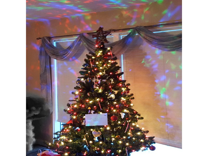 Recycle Your Christmas Tree dlvr.it/Q7gBpf https://t.co/d7ncvVHeuy