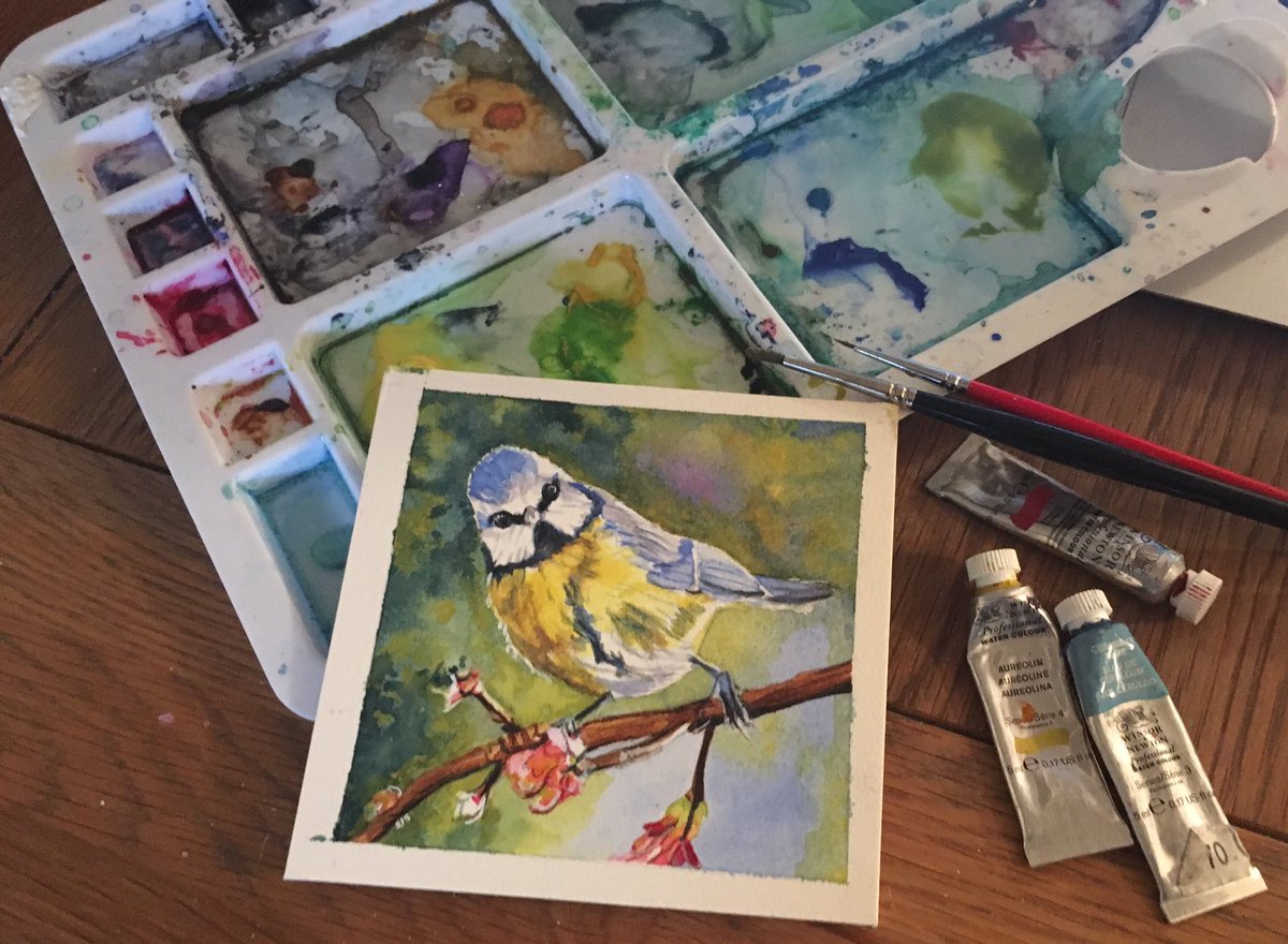 A little Boxing Day bird painting <a href="/StoweGallery/">StoweGallery@St.Ives</a> #birds #watercolour #winsor&amp;newton