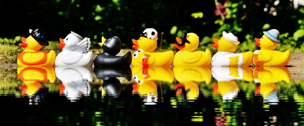 Looking for something to do on Boxing Day in the Cotswolds? How about the annual Bibury Duck Race?
bibury.com