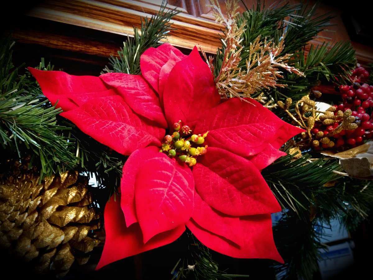 Durrant House Hotel tweet media