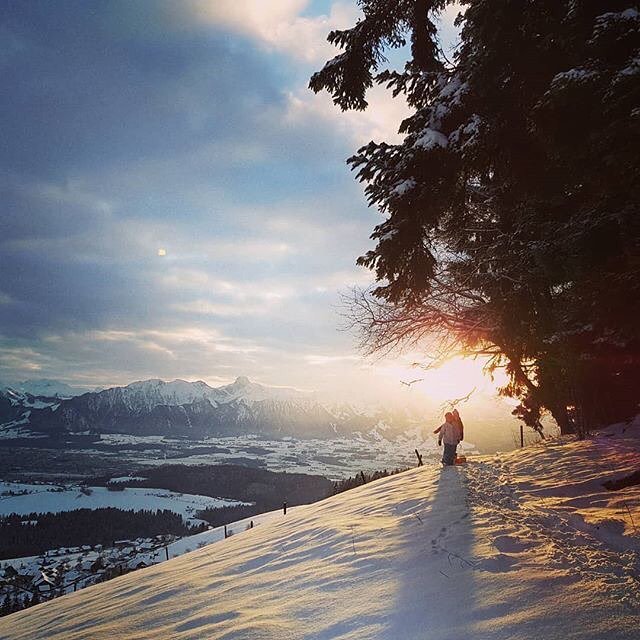 BerneseOberland's tweet photo. 🌟🎄 Thank you @stefan_vn for this great picture! We wish you all happy holidays! Merry Christmas! 🎄🌟
__________________________________
#falkenfluh #christmas #holidays #merrychristmas #berneroberland #berneseoberland #overview #allthebest #thankyou #… https://t.co/vDlnzZYKvU https://t.co/FPCbhi85xO