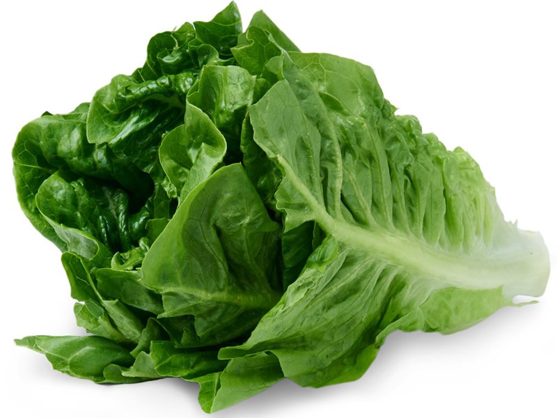 Cautionary Removal Of Romaine Lettuce From Sobeys Stores And Affiliates dlvr.it/Q7Rk4L https://t.co/655yIVTaI5