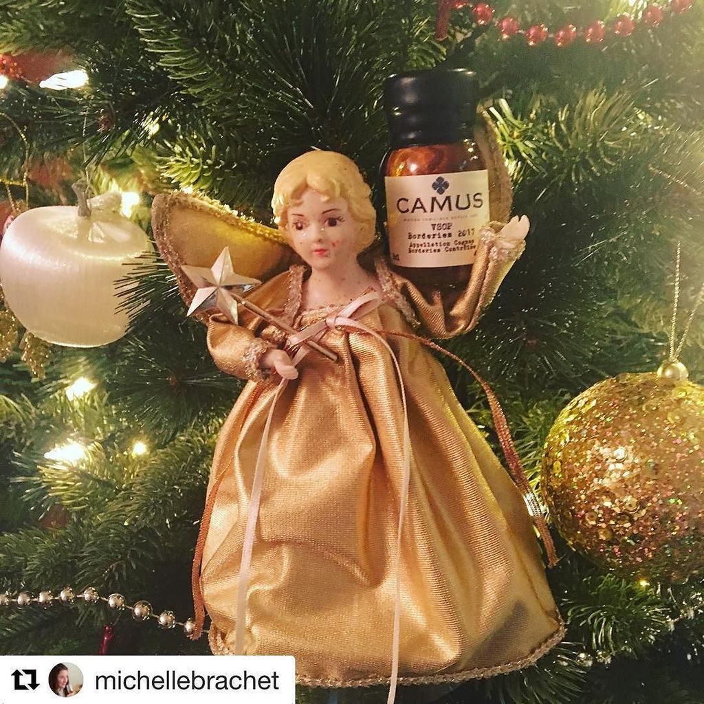 Camus Cognac (@camuscognac) on Twitter photo It's the night before. What are you going to find under the tree? #CamusCognac?
#Repost <a href="/michellebrachet/">Michelle Brachet</a> ・・・
And the Angel Gabriel said unto me, ‘behold, <a href="/CamusCognac/">Camus Cognac</a> has delivered a special & most beautiful gift for you to enjoy this Christmas’ (e… ift.tt/2BX27x3 It's the night before. What are you going to find under the tree? #CamusCognac?
#Repost <a href="/michellebrachet/">Michelle Brachet</a> ・・・
And the Angel Gabriel said unto me, ‘behold, <a href="/CamusCognac/">Camus Cognac</a> has delivered a special & most beautiful gift for you to enjoy this Christmas’ (e… ift.tt/2BX27x3