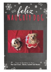 PetsGetRocked's tweet photo. Merry Christmas from my Rockstars to yours! https://t.co/SZH0dTN7zc