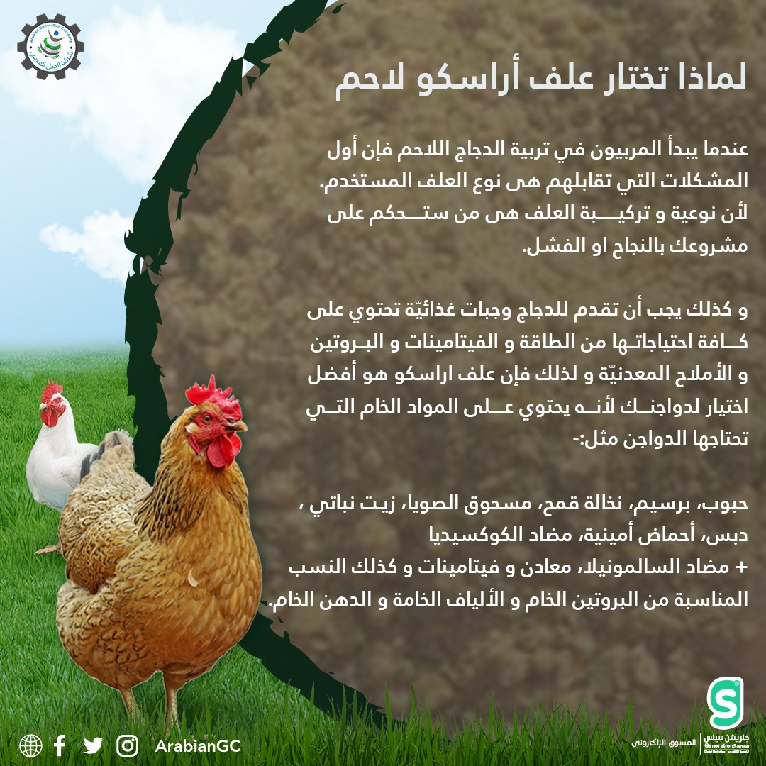 ArabianGC - شركة الجيل العربي للتجارة on X: "لماذا تختار #علف #اراسكو #لاحم  اطلب الأن متوفر حالياً لدي مستودعات شركة #الجيل_العربي ا/ علي العمودي  0534442817 #السعـوديـة. #دواجن #مواشي #تربة #الطيور #جدة #مكة