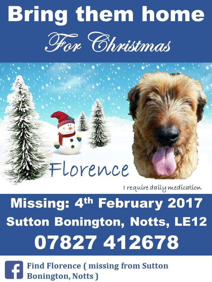 #FindFlorence tweet media