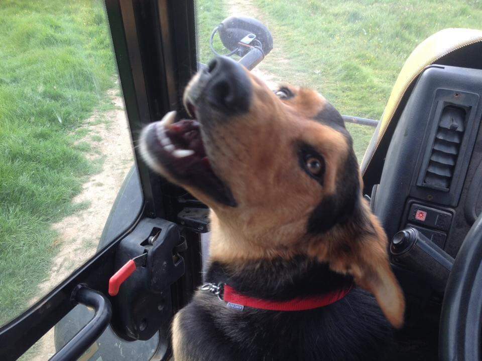 #FindZakHuntaway tweet media