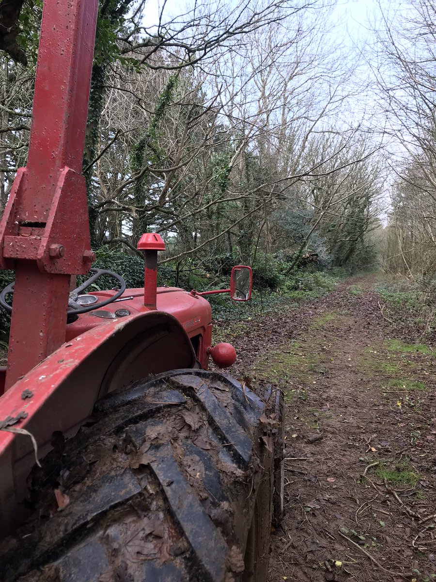 Kernow_Life's tweet photo. #littleRedTractor #holly picking for the Christmas table https://t.co/nDtG80wqeM