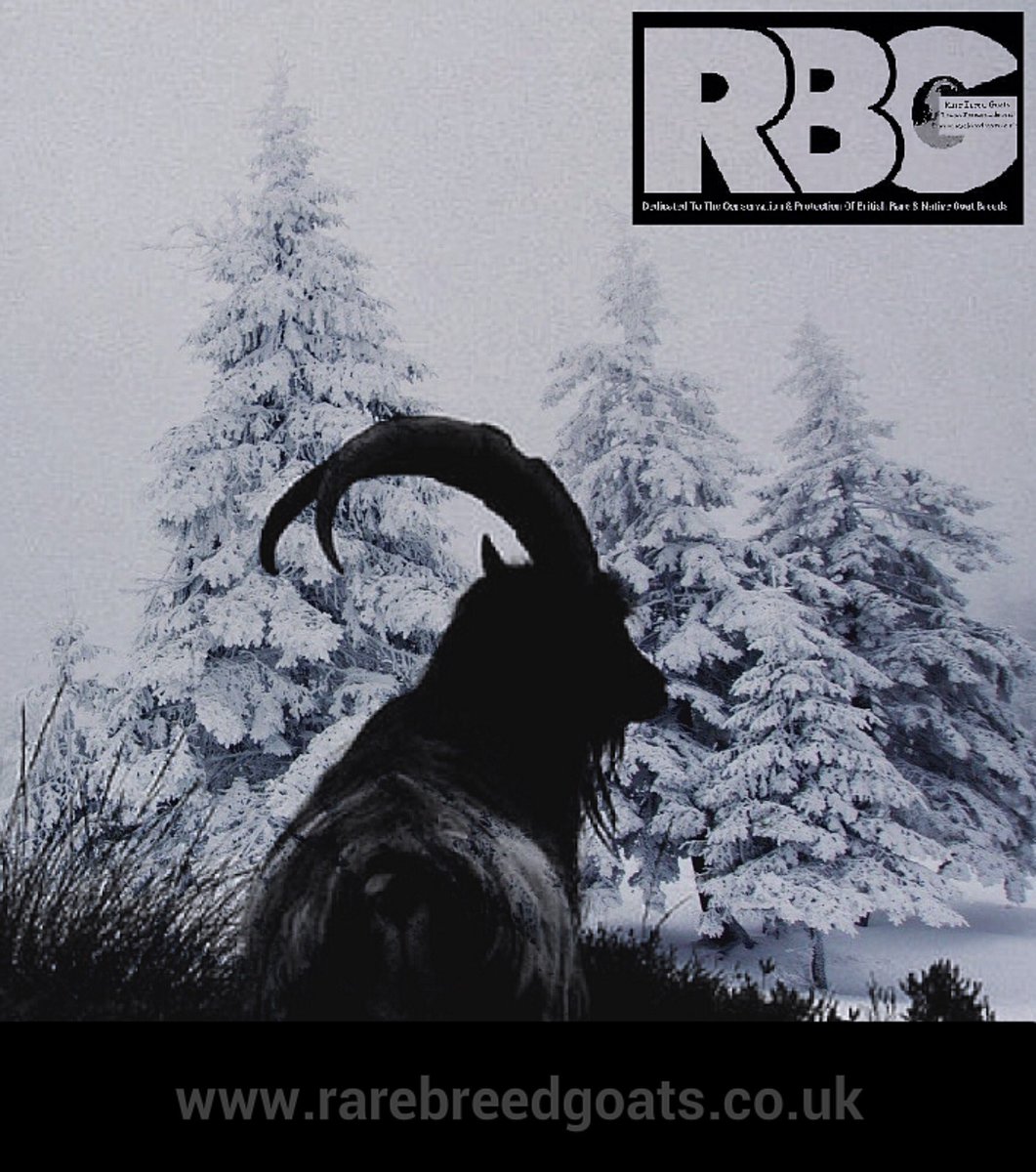 RareBreedGoats's tweet photo. To all of our loyal Twitter, Facebook and Instagram Friends. Wishing you peace, joy and good health at this time of year.

Thank you for your continued support of the great work we do here at the home of Rare Breed Goats.

#bagotgoats
#britishprimitivegoats
#rarebreedgoats https://t.co/vKia16Vsdp