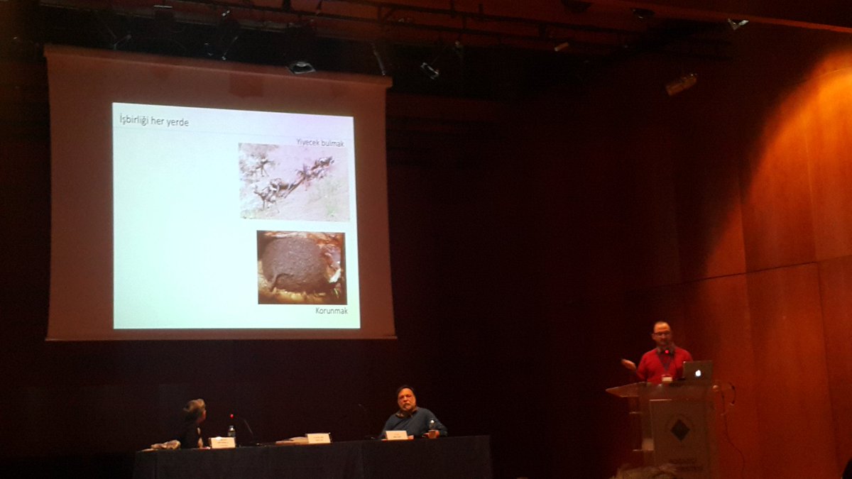 Sempozyumun son oturumu başladı! <a href="/caglarbakcay/">Çağlar Akçay</a> 'ın Hayvanlarda İşbirliğinin Evrimi üzerine konuşmasınını dinliyoruz. <a href="/evrimsempozyumu/">Evrim Sempozyumu</a> #EvrimYoksaBilimDeYok