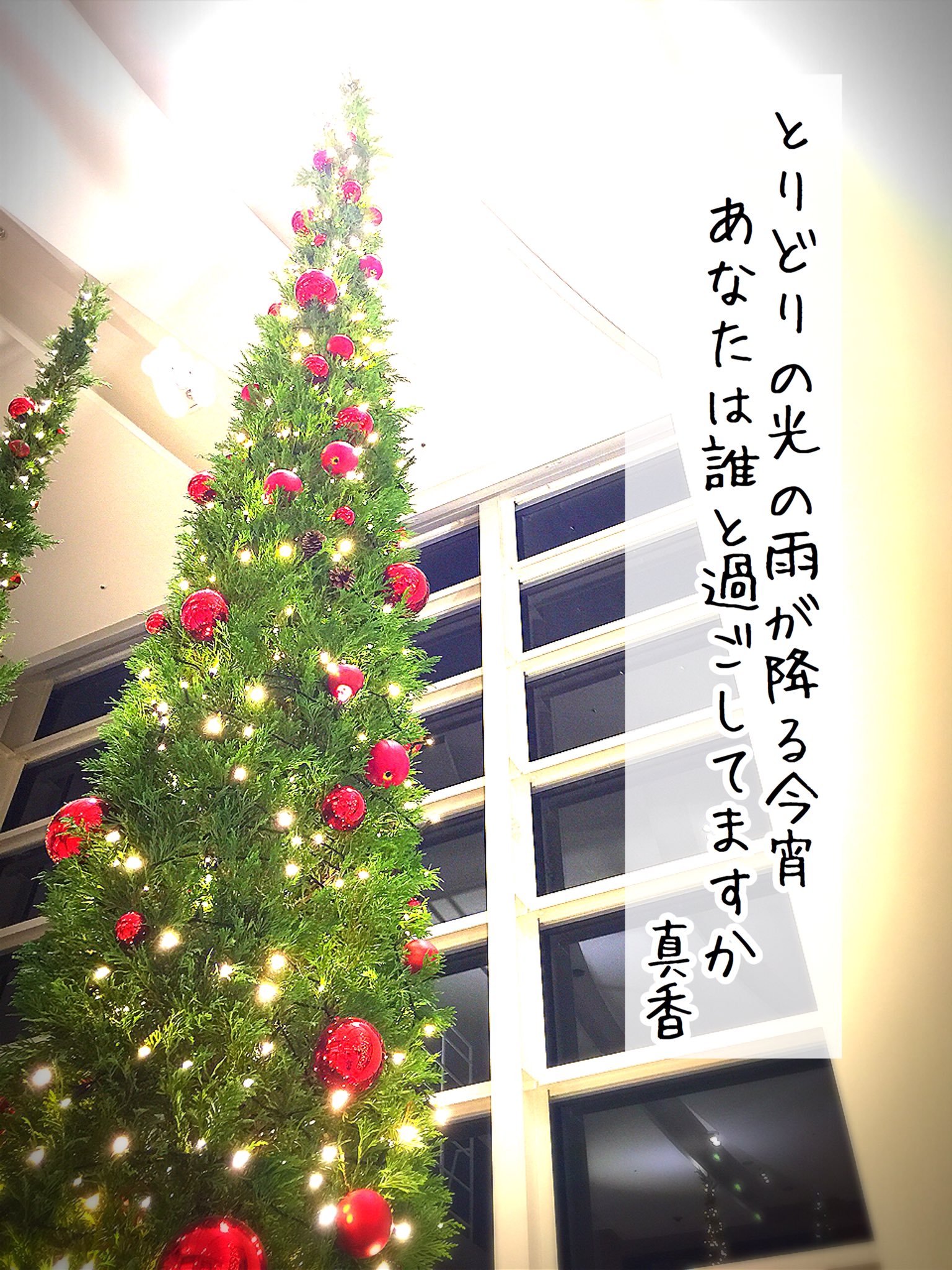 out Natural Xmas✩⡱灯りのともるキリカブhouse