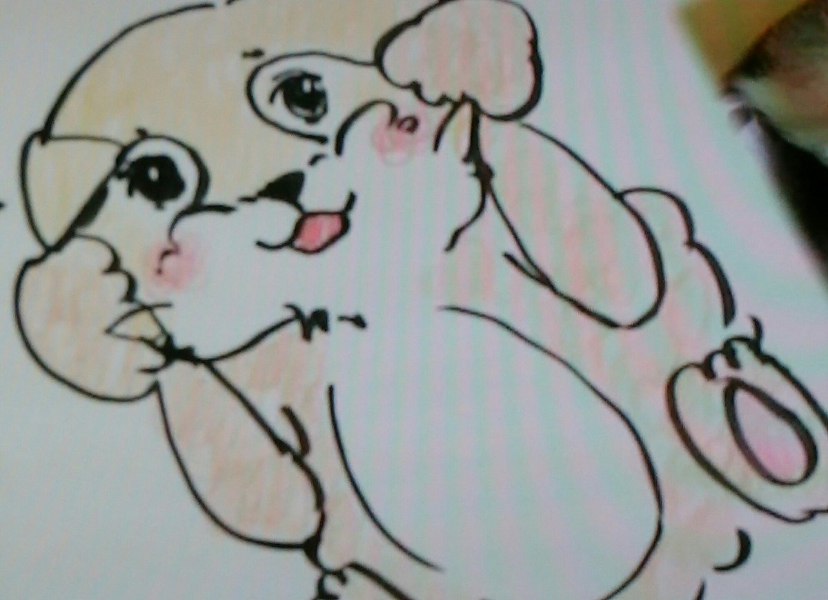 千葉雄大さんがレッサーパンダのイラストを描いたところ 衝撃的に可愛すぎる だって僕は狙ってやってますから 動物の赤ちゃん Togetter