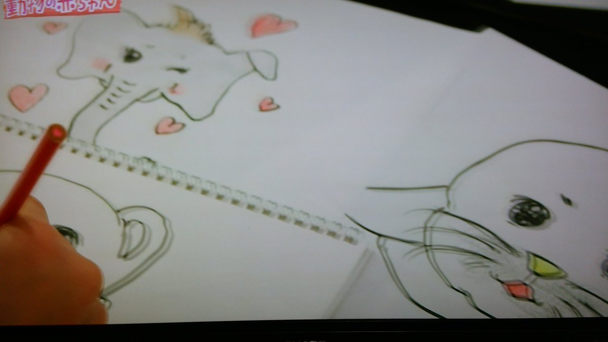 千葉雄大さんがレッサーパンダのイラストを描いたところ 衝撃的に可愛すぎる だって僕は狙ってやってますから 動物の赤ちゃん Togetter 千葉雄大さんがレッサーパンダのイラストを描いたところ 衝撃的に可愛すぎる だって僕は狙ってやってますから 動物の赤ちゃん Togetter