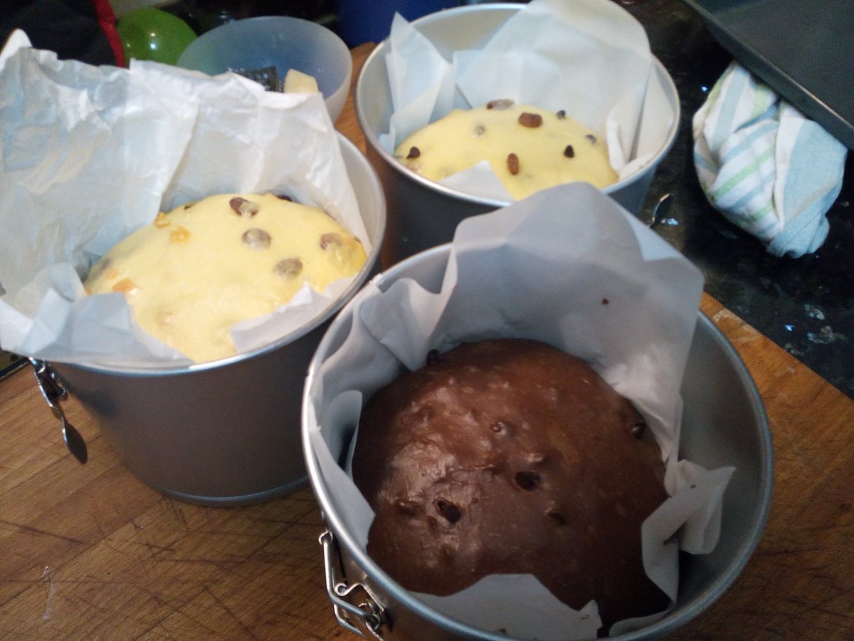 MaraSancheztw's tweet photo. Están ansiosos por entrar no forno!
#panettone #panarra https://t.co/u6oIjje1T6