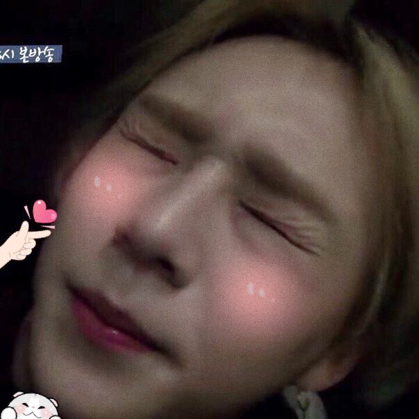 ptgpicsz's tweet photo. — 💞 [#softbot] #edawn #hyojong https://t.co/v6KzAoWqMD