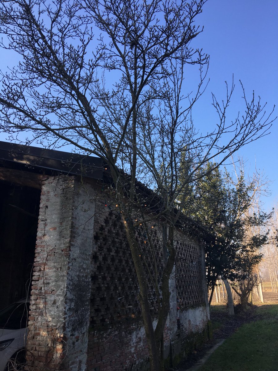 #JeSuisSpelacchio <a href="/spelacchio/">Spelacchio</a>