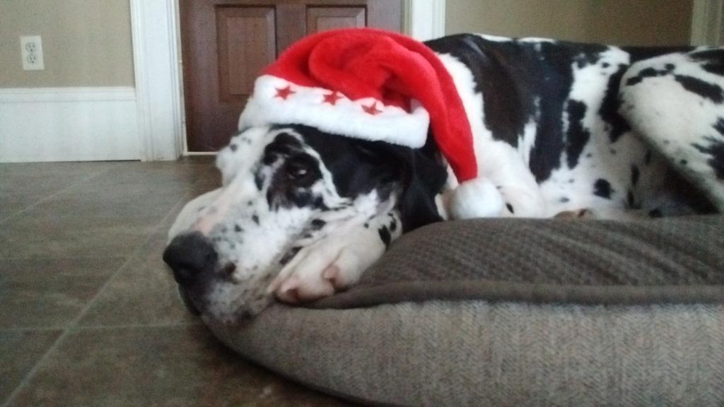 Happy holidays from me and mine to you and yours!