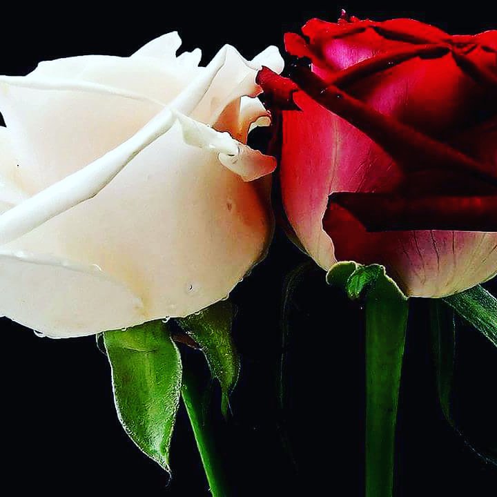 bluddledating's tweet image. 어떤게 더 좋아? Which one is best?
Dating hugs 😍😍😍bluddle.com
#럽스타그램  #데이트 #커플스타그램 #사랑스타그램 #사랑 #instalove #dating #love #datingapp #couple #selfie #instagram #인스타그램 #single #relationship #fun #asian #hot #fashion #셀스타그램 #일상 #데일리