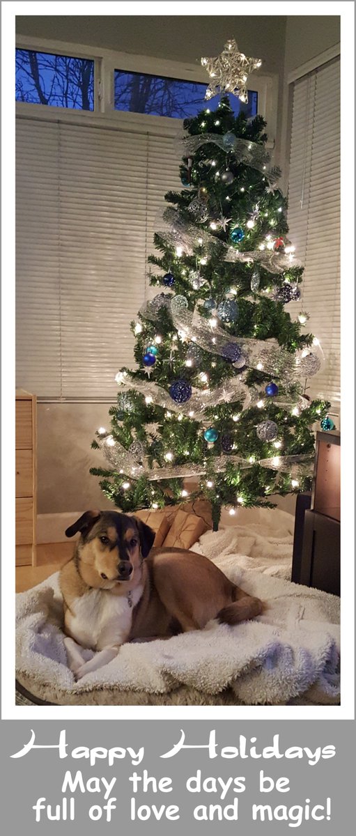 coaching4minds's tweet photo. Happy Holidays everyone!!!! https://t.co/eNkAkKggtA