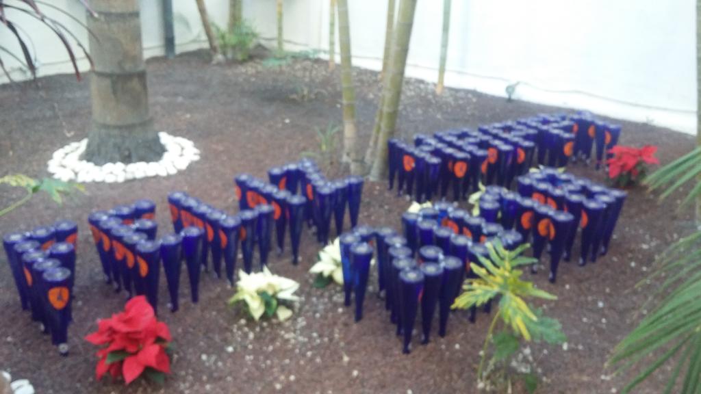 EliseDRI tweet media