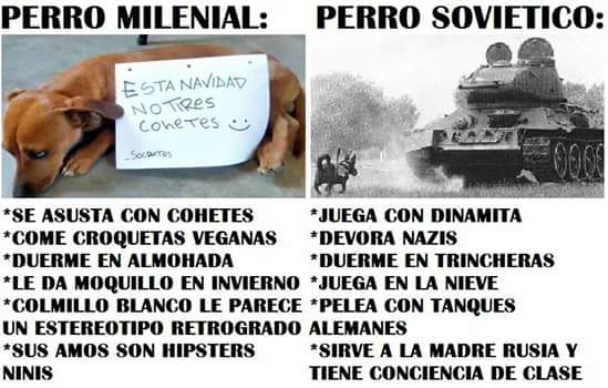 WendyPriGG's tweet photo. Perro Millenial vs. Perro Soviético...

#NocheDeRábanos #Nochebuena #millenials #soviets https://t.co/QPMiQzpkeA