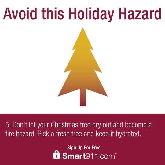 A Christmas tree can burn extremely quickly! #HolidayHazard