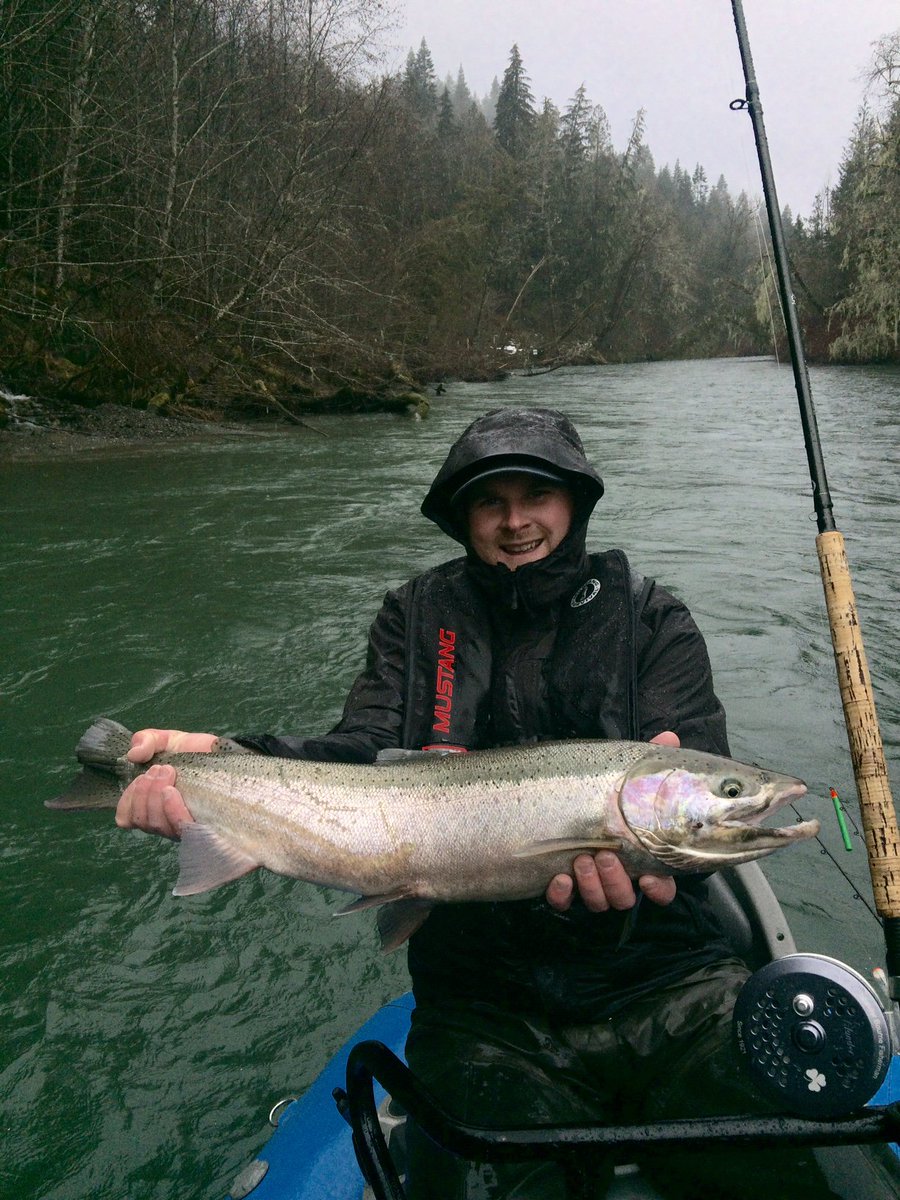 On the 24th Day of #Xmas the Steelhead gods gave to me....... <a href="/gricer09/">Fuji</a> <a href="/dkfathertime/">Dave Knowland</a> <a href="/noggie63/">Noggie</a> @salmonraider @VILFishSookeBC