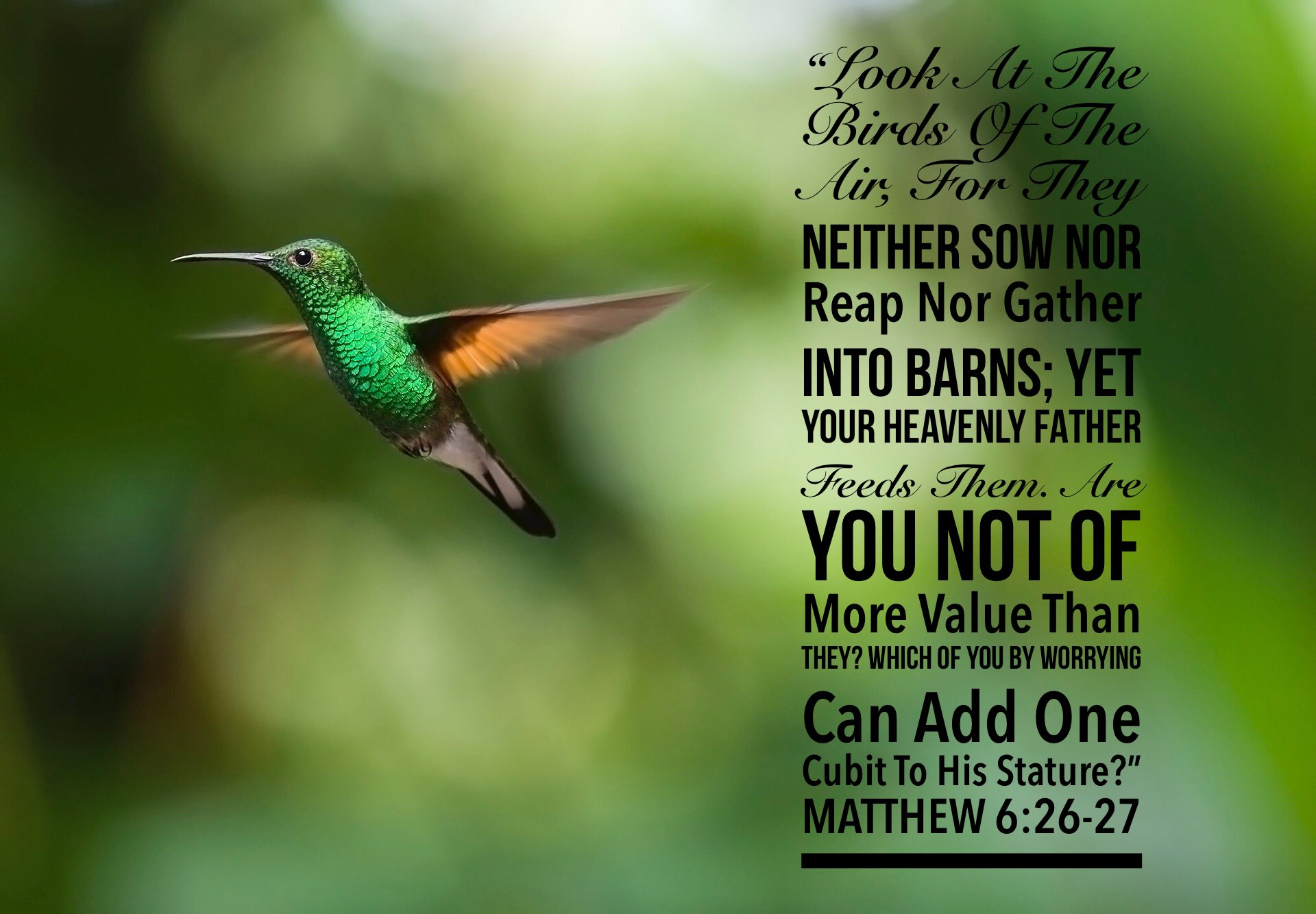 Why B Mad on Twitter: "MATTHEW 6:26-27 “Look At The Birds Of The ...
