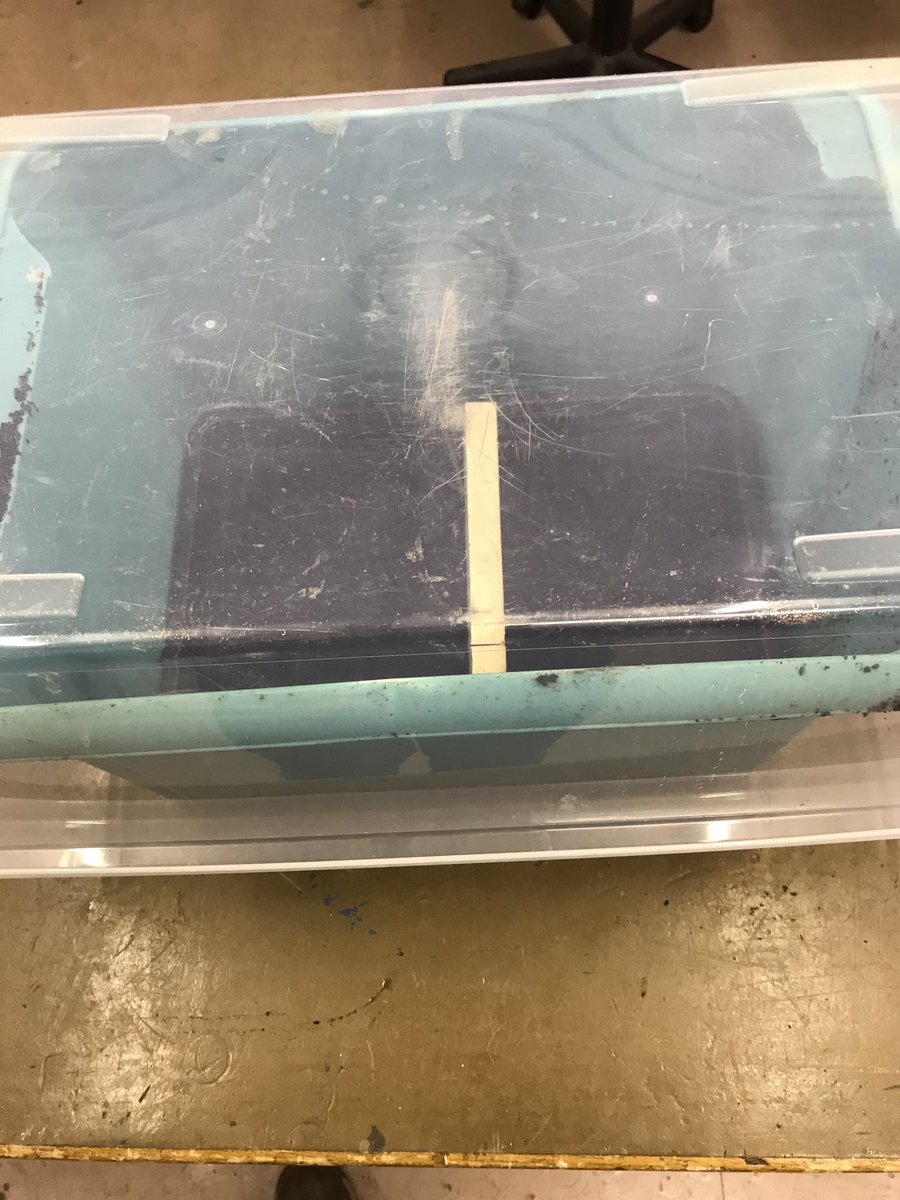 Christopher C Haslam tweet media