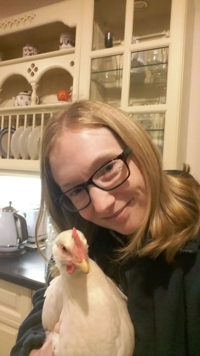 rulingtheroost1's tweet photo. Happy Christmas Eve Miss Dora Chicken! #SnapChook #theadventuresofdora https://t.co/gedMC5eiBc