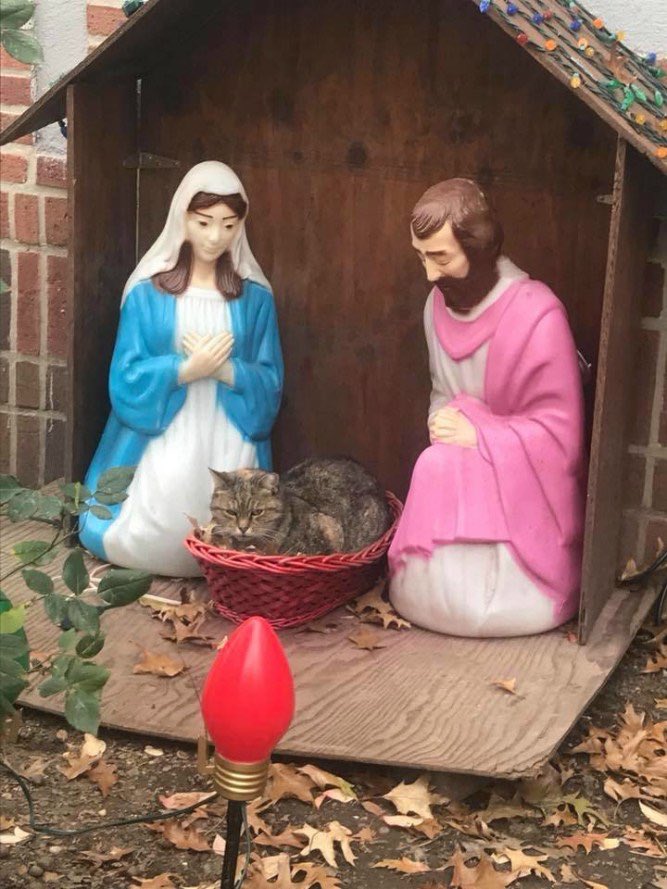 Number10cat's tweet photo. At this time of year, take a few moments to remember who Christmas is truly about... https://t.co/TQ9tSP5EED