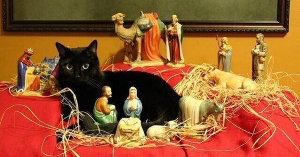 Number10cat's tweet photo. At this time of year, take a few moments to remember who Christmas is truly about... https://t.co/TQ9tSP5EED
