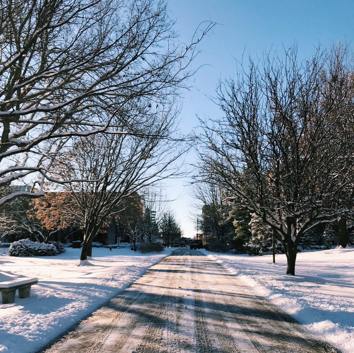 UNLincoln's tweet photo. ❄️There is SNOW Place Like Nebraska! ❄️ #UNL https://t.co/M3RpE1vN0J