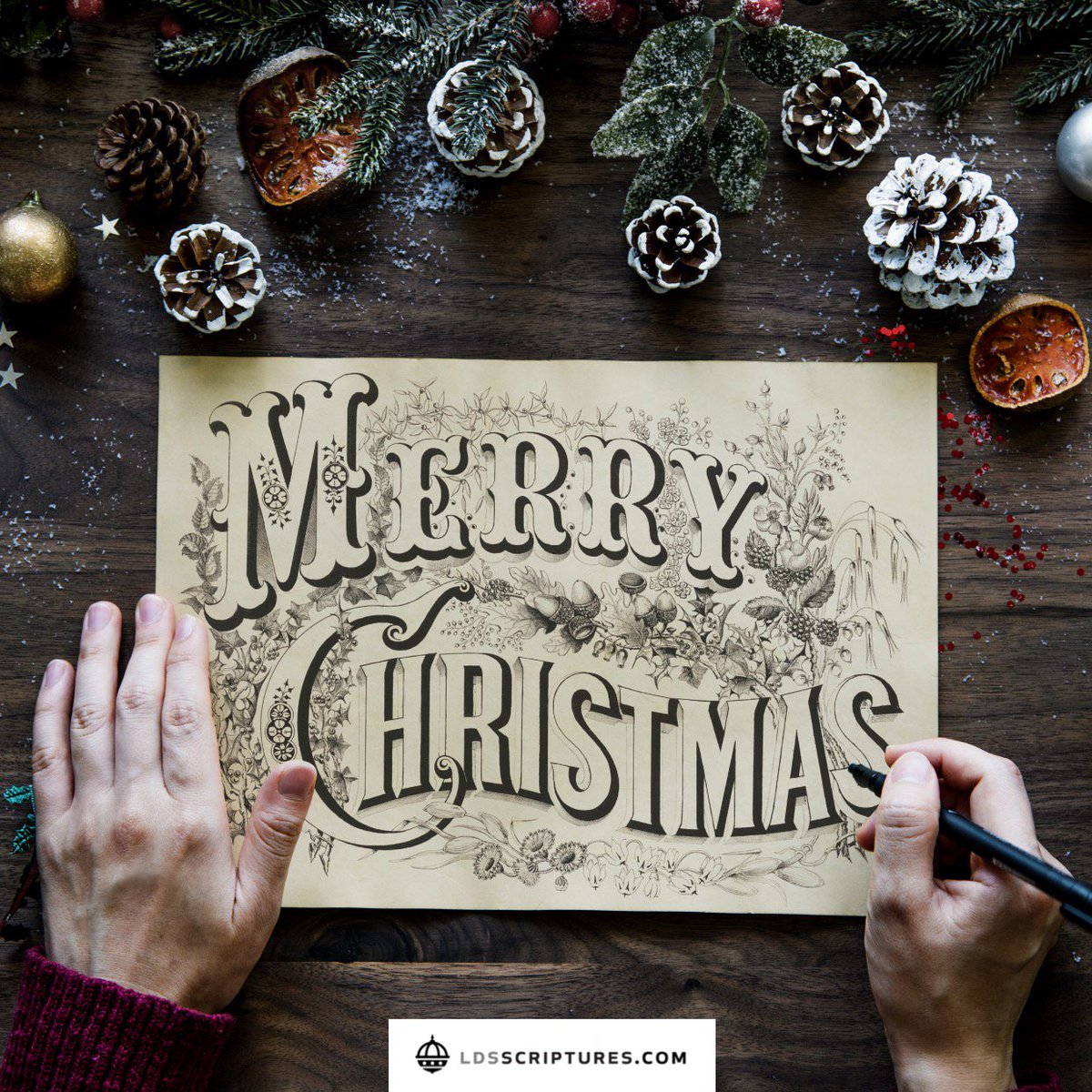 ldsscriptures's tweet image. 