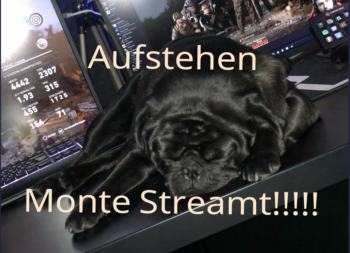 vox_roman's tweet photo. @MontanaBlack #streambilder https://t.co/JXb5rL1rN0