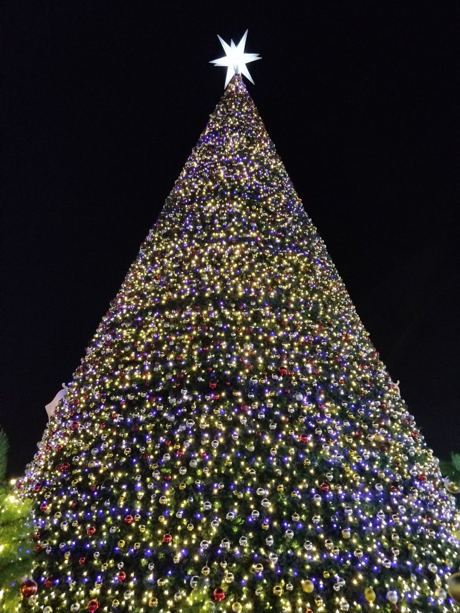 KarthikJannu's tweet image. Merry #Christmas everyone!! #ChristmasAtPhoenix 

Tallest #Christmastree in India!!!!