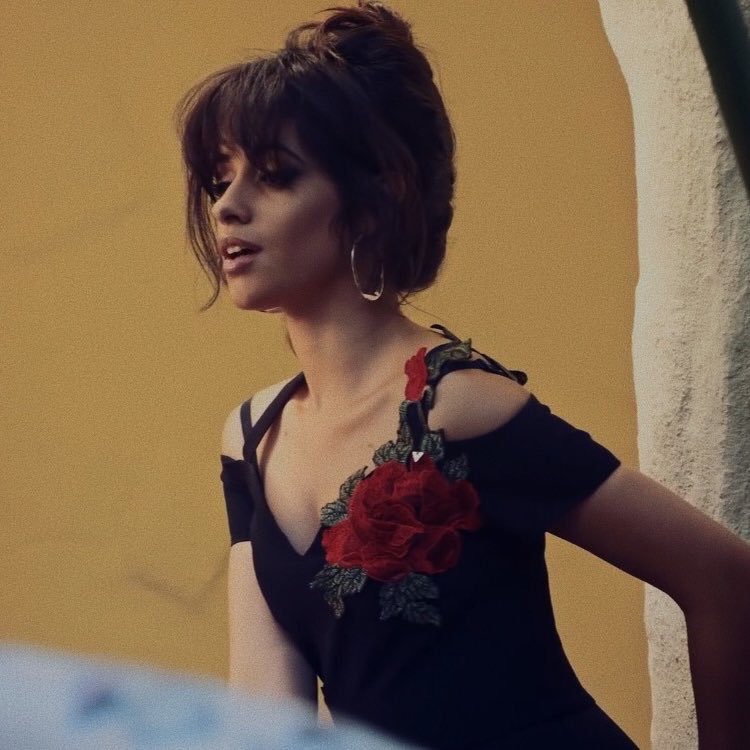 🌹✨