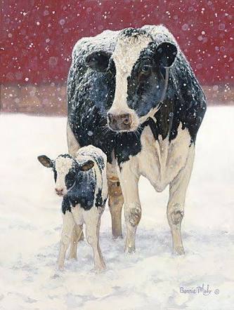 Merry Christmas from all the girls at Barton Brook Dairy