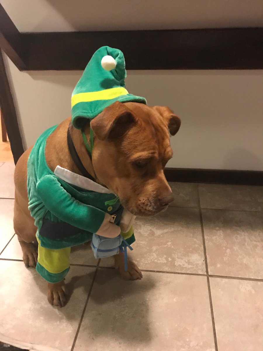 bobducca's tweet photo. Christmas can be a difficult time for many of us. https://t.co/m9AthlPw9E